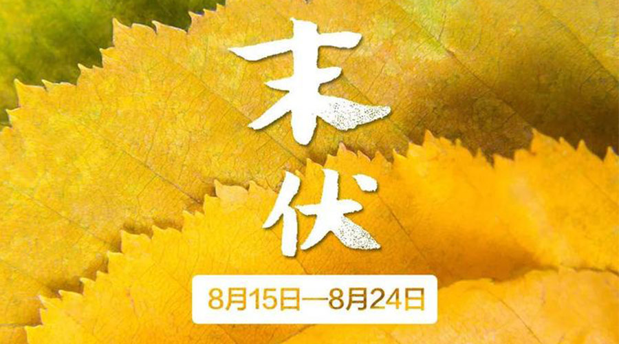 末伏时节！九游app
提醒你谨记这些注意事项