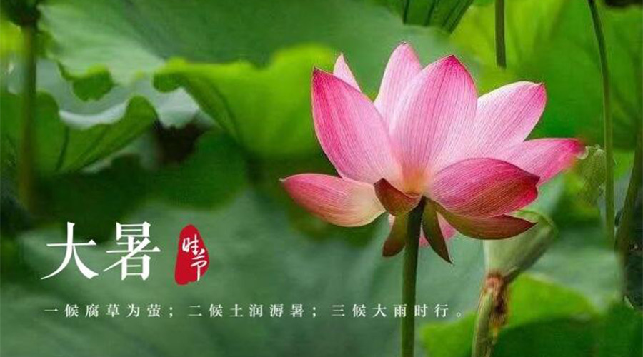 大暑时节！九游app
提醒大家要注意的事项